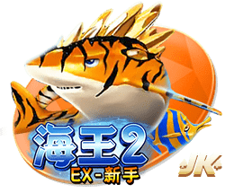美女网站18安卓版